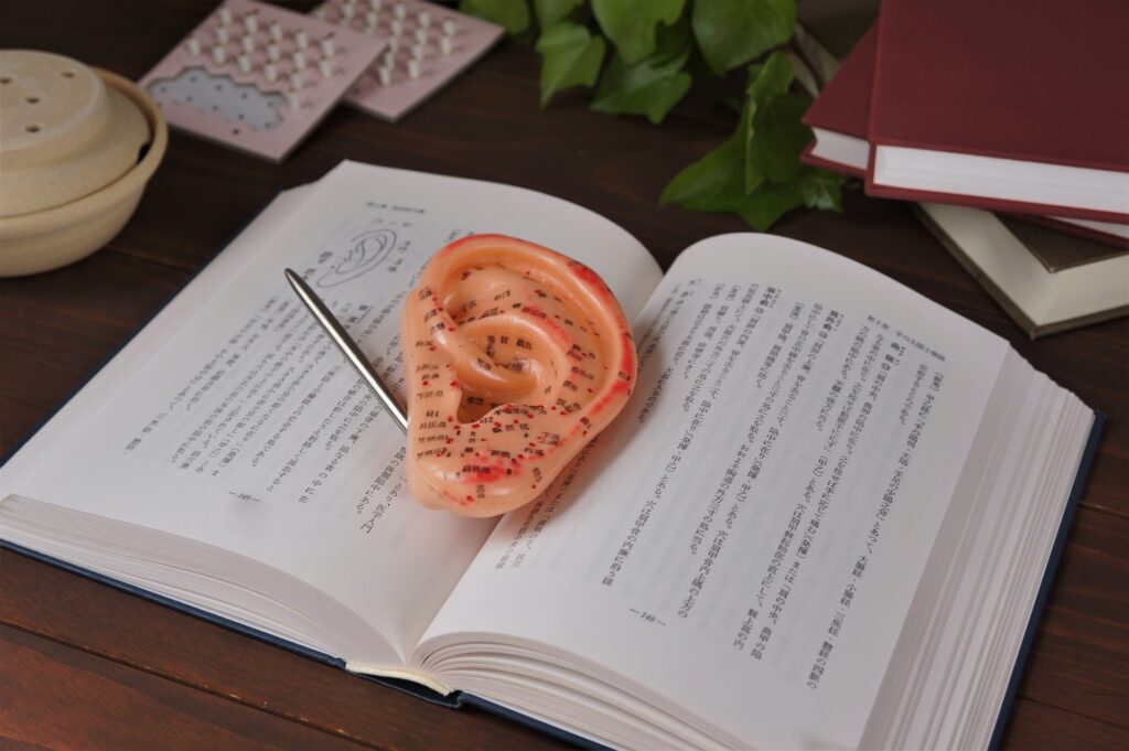 耳つぼダイエットで無理なく食欲コントロール!話題の効果と成功のコツを徹底解説│美容情報サイト Beauty Web(ビューティーウェブ)