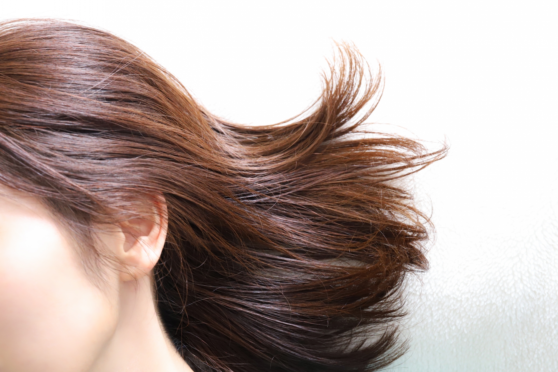 ヘアミルクとヘアオイルの併用は可能？使い方や違いについて徹底解説│美容情報サイト Beauty Web(ビューティーウェブ)